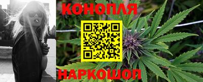 прущие крисы Жуковский