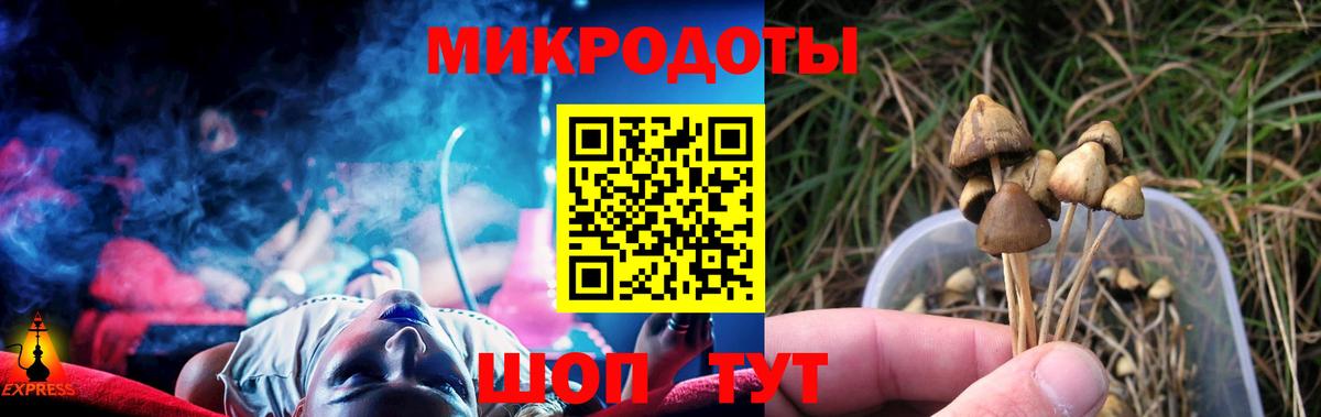 Псилоцибиновые грибы мицелий Валуйки
