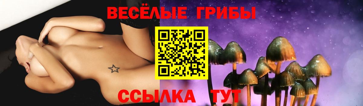 Псилоцибиновые грибы GOLDEN TEACHER  Вход с VPN  Валуйки  Псилоцибиновые грибы ЛСД 