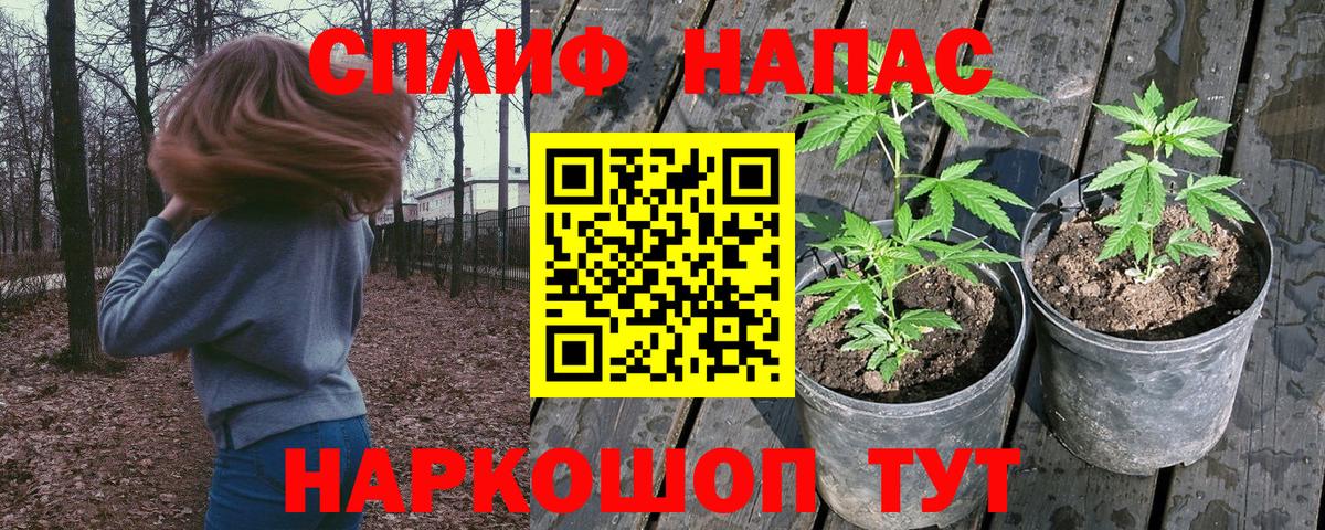 Каннабис OG Kush Валуйки